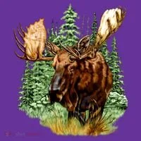 Wildlife - Moose Portrait Toddler T-Shirt thumb 4
