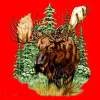 Wildlife - Moose Portrait Santa Hat thumb 1