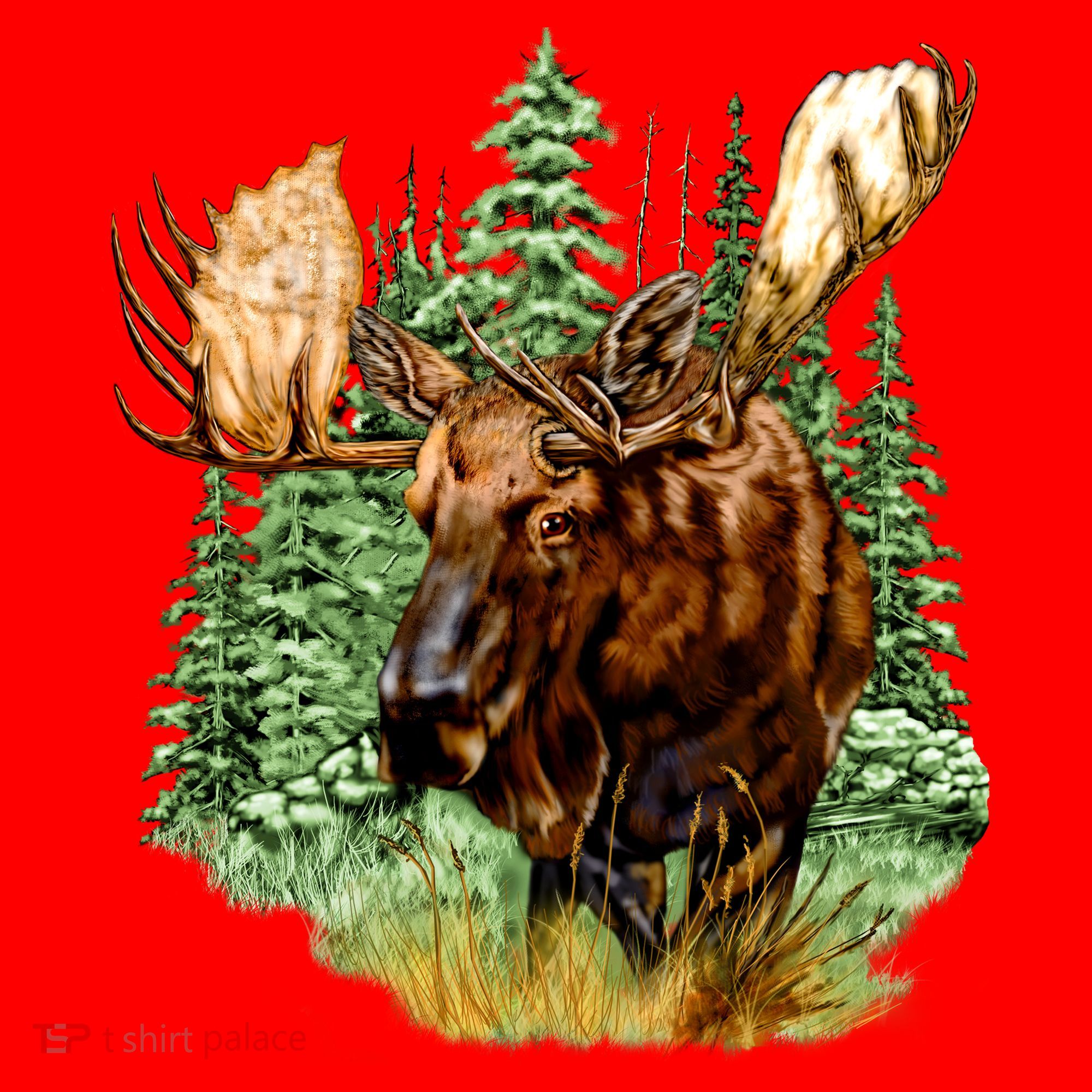 Wildlife - Moose Portrait Santa Hat