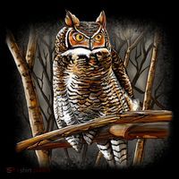 Wildlife - Owl Perched Women's Hoodie thumb 2