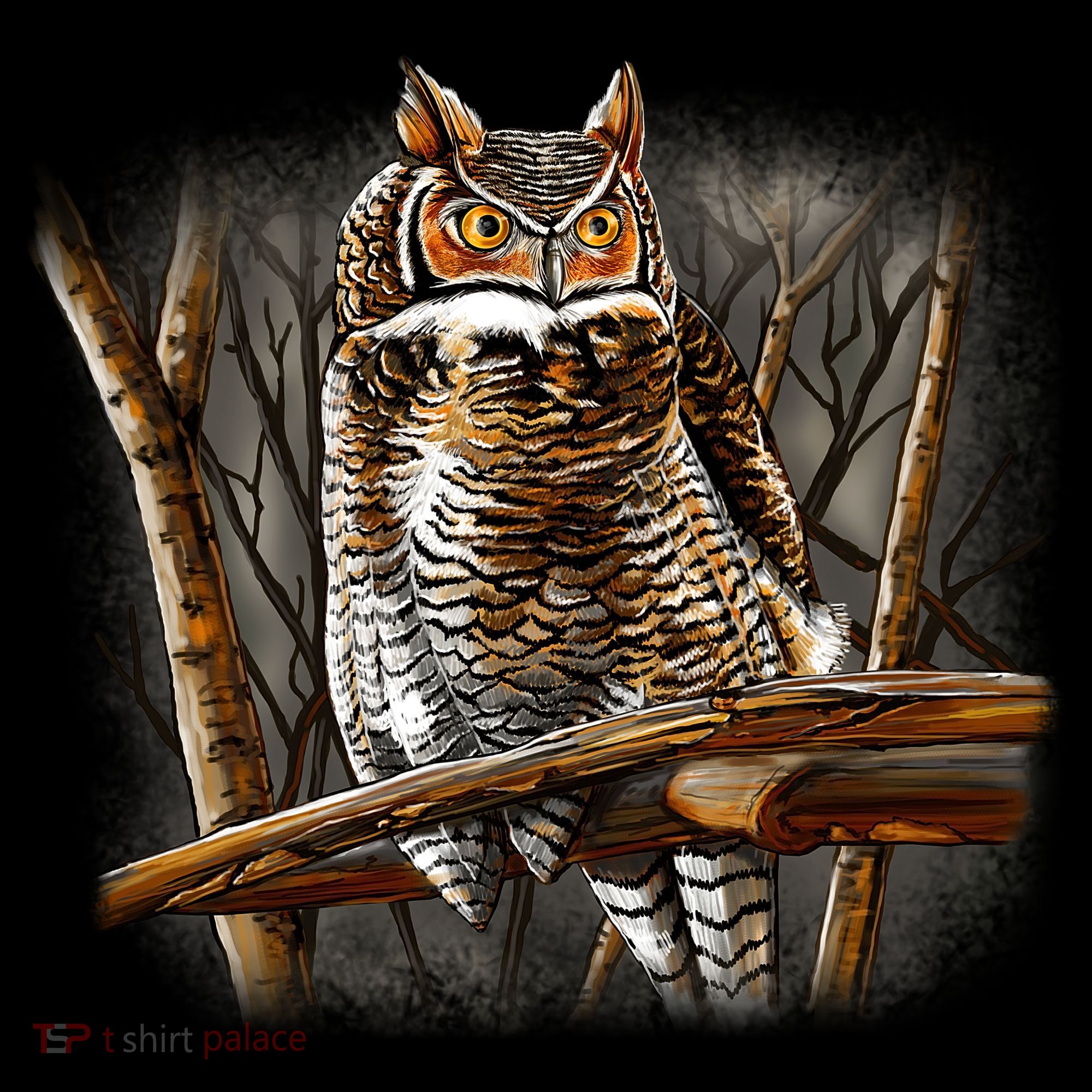Wildlife - Owl Perched Women's T-Shirt