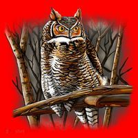Wildlife - Owl Perched Santa Hat thumb 1