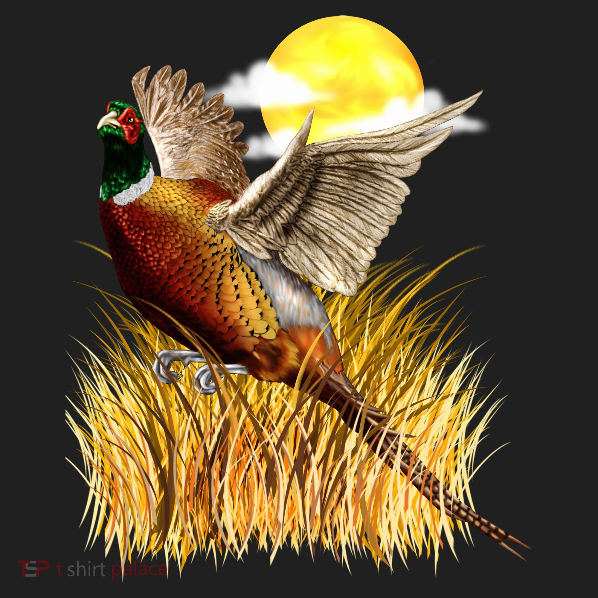 Wildlife - Pheasant Bird Portrait Beanie
