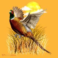 Wildlife - Pheasant Bird Portrait Pajama Set thumb 2
