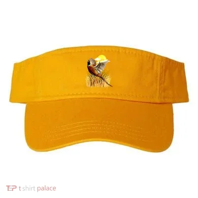 Visor