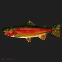 Wildlife - Rainbow Trout Side Women's Sweatshirt thumb 2