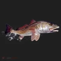 Wildlife - Redfish Women's Sweatshirt thumb 2