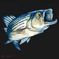 Wildlife - Striped Bass Visor thumb 3