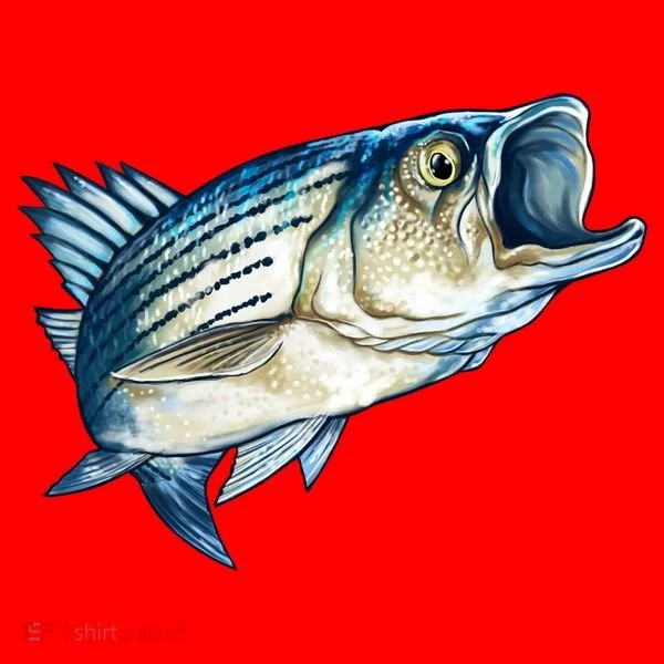 Wildlife - Striped Bass Santa Hat