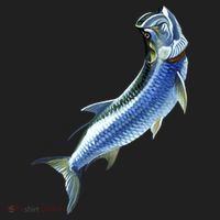 Wildlife - Tarpon Women's Sweatshirt thumb 2