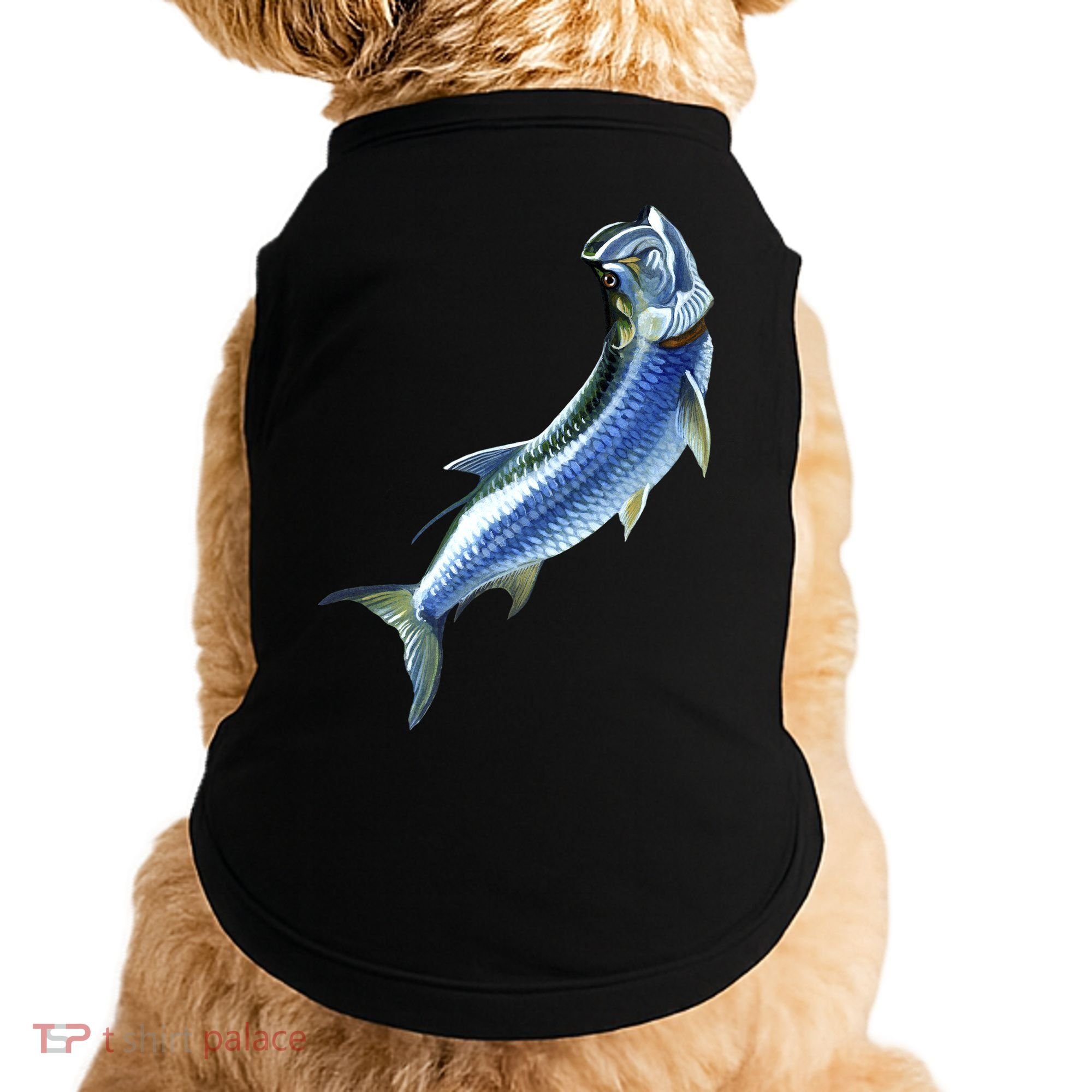Wildlife - Tarpon Doggie Tank