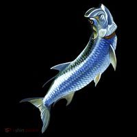 Wildlife - Tarpon Women's Tank Top thumb 5