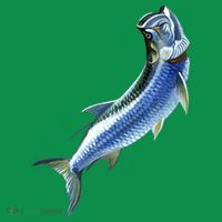 Wildlife - Tarpon T-Shirt thumb 7
