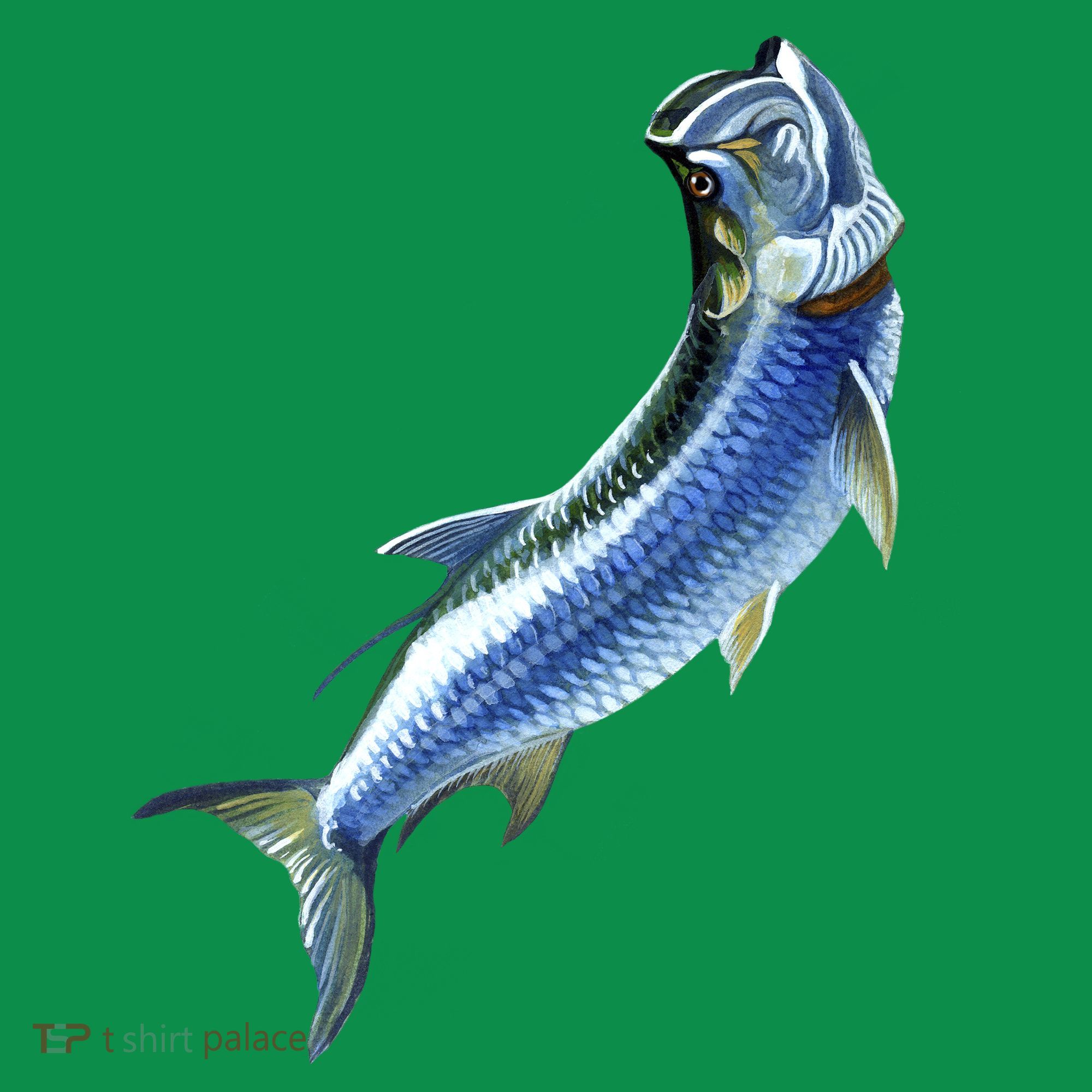 Wildlife - Tarpon Women's T-Shirt