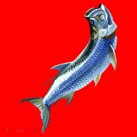 Wildlife - Tarpon Santa Hat thumb 1