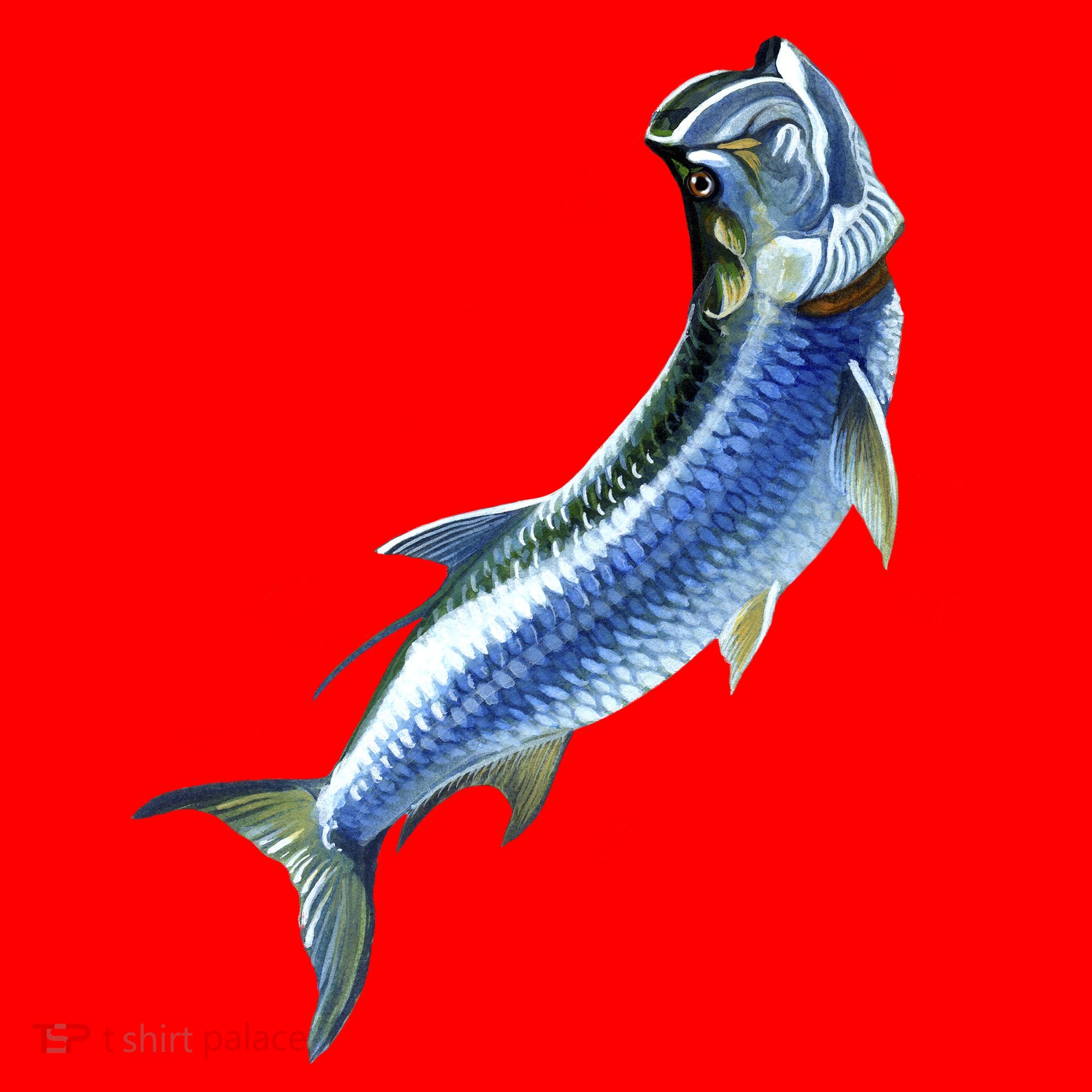 Wildlife - Tarpon Santa Hat