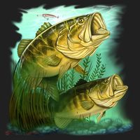 Wildlife - Two Jumping Bass Hat thumb 2