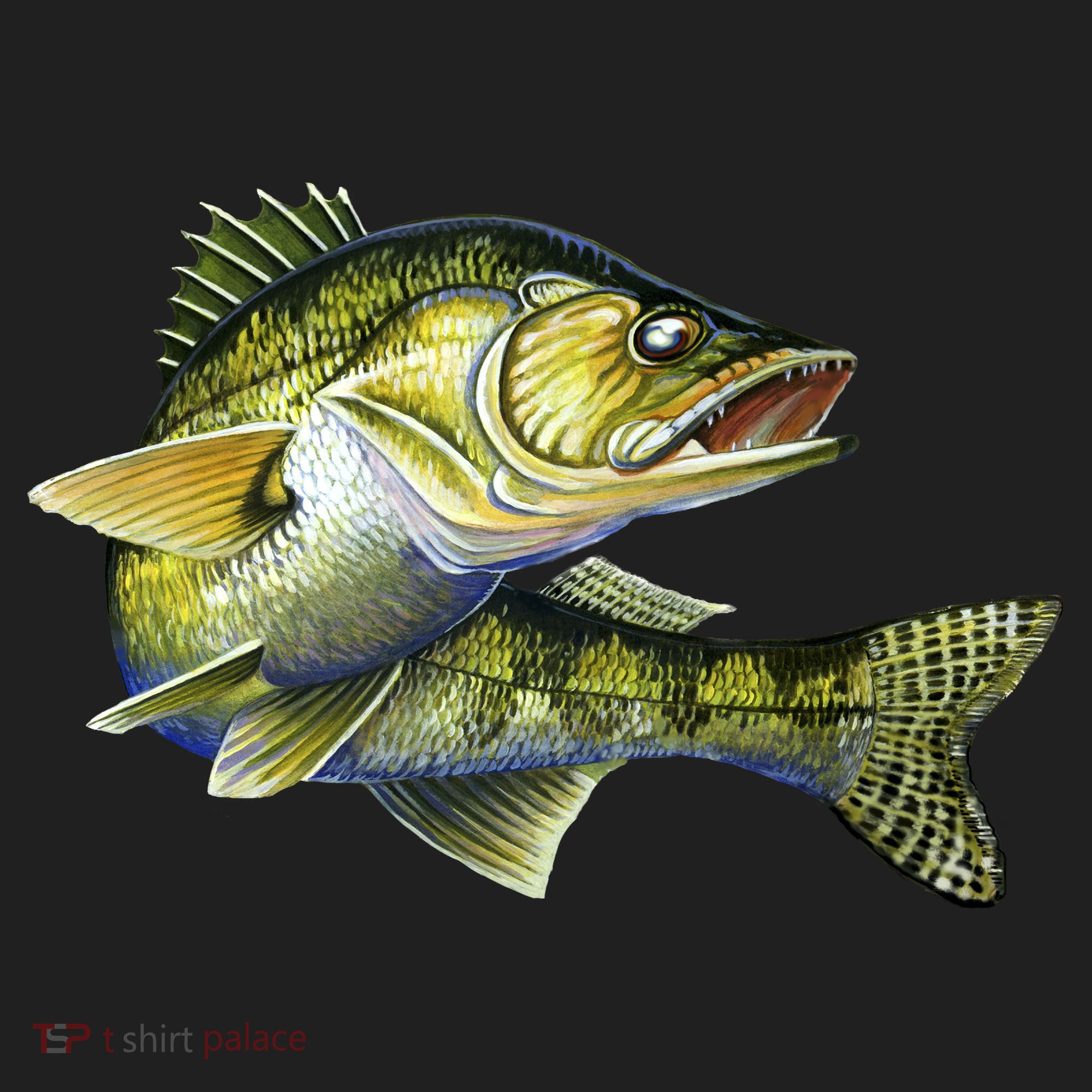 Wildlife - Walleye Women's Sweatshirt