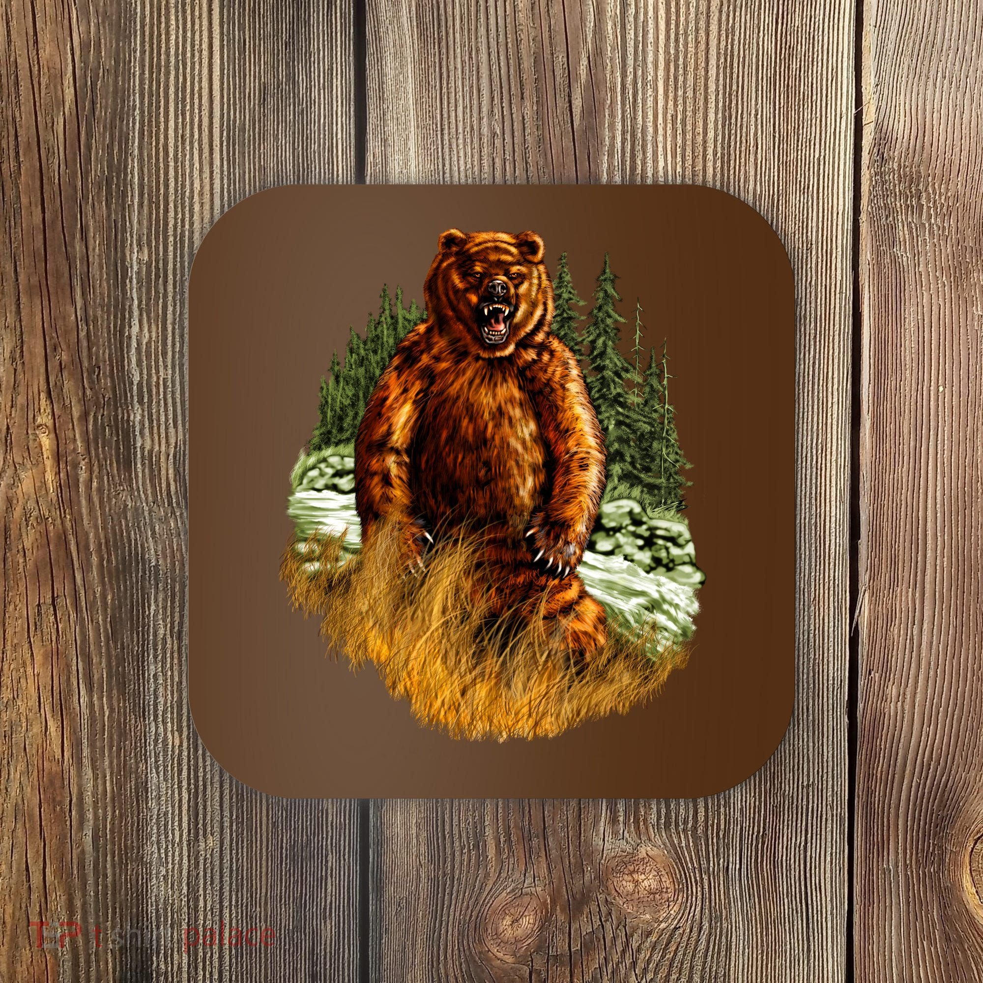 Wildlife - Wild Bear Portrait Coaster