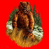 Wildlife - Wild Bear Portrait Santa Hat thumb 1