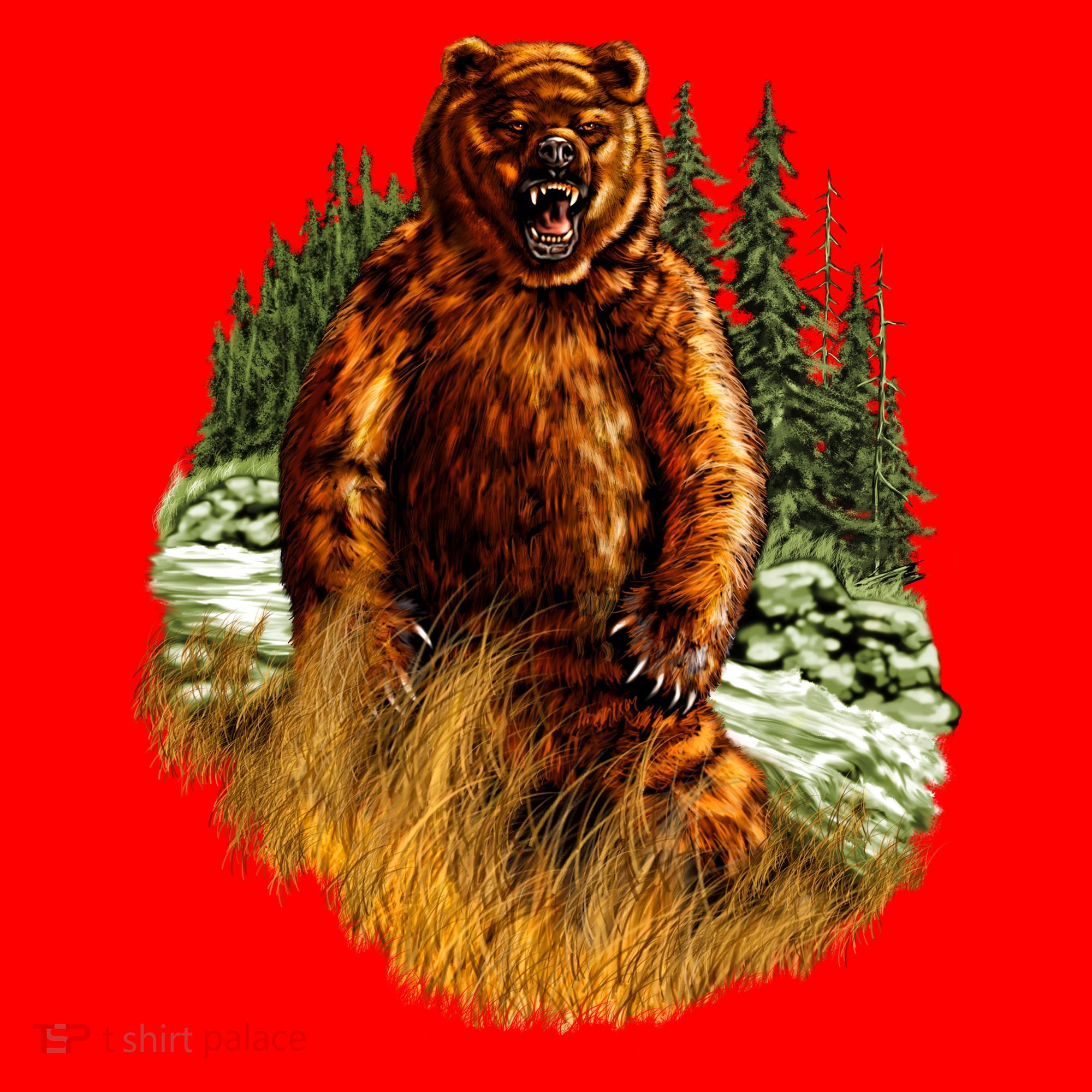 Wildlife - Wild Bear Portrait Santa Hat