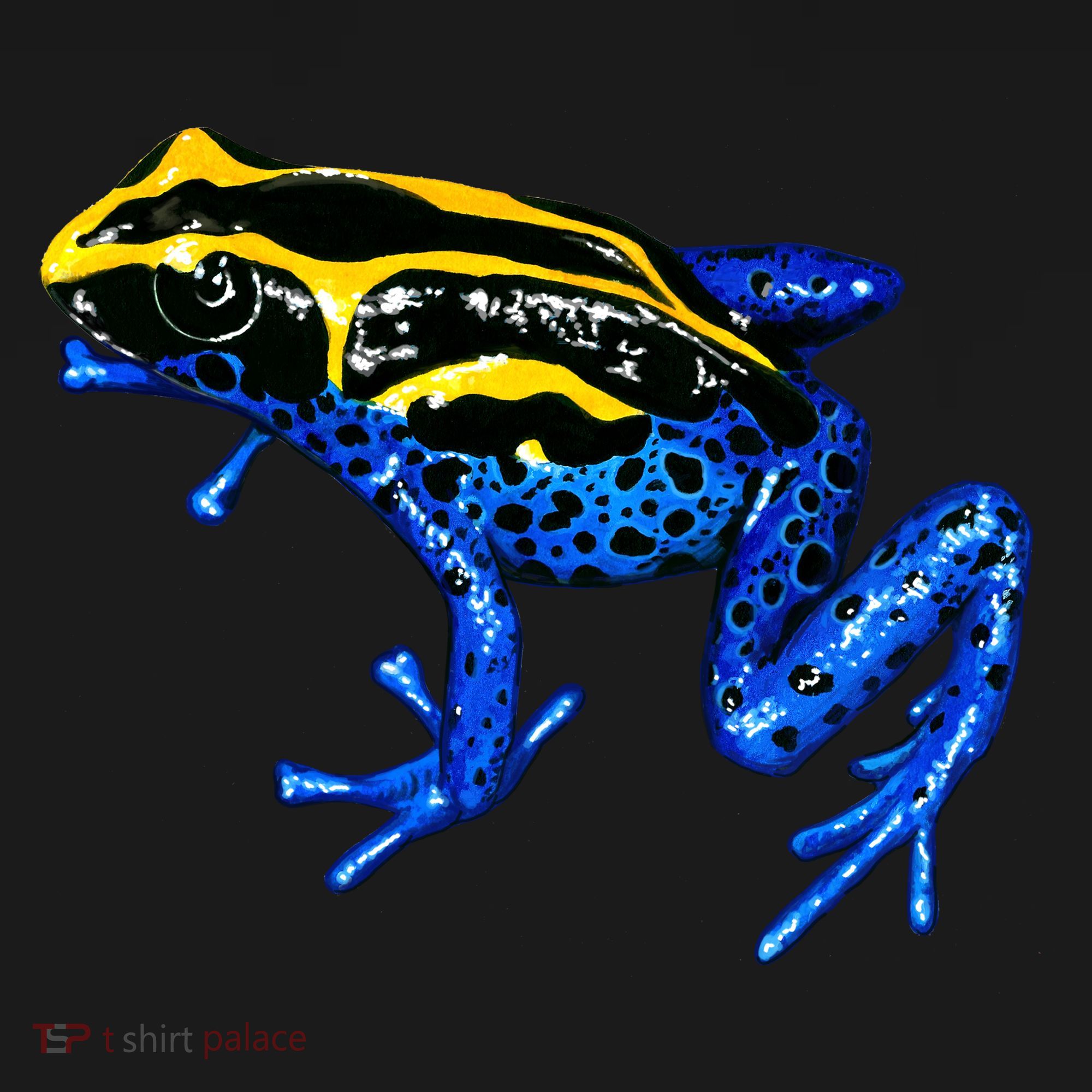 Wildlife - Yellow And Blue Frog Toddler Hoodie
