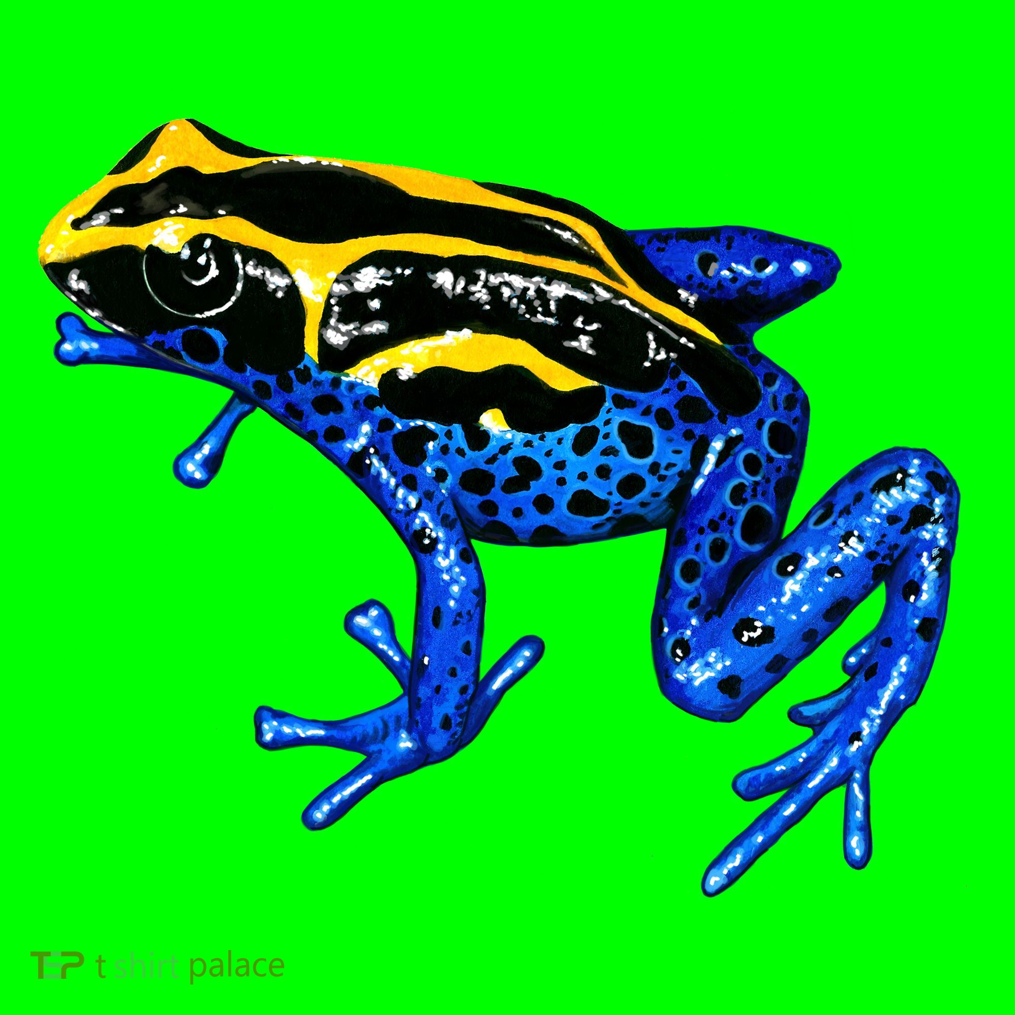 Wildlife - Yellow And Blue Frog Long Sleeve Shirt