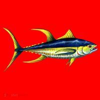 Wildlife - Yellowfin Tuna Santa Hat thumb 1