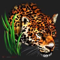 Wildlife Big Face Jaguar In Grass Portrait Beanie thumb 2