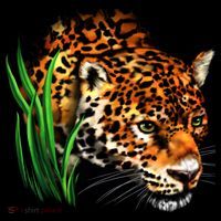 Wildlife Big Face Jaguar In Grass Portrait Women's Hoodie thumb 2
