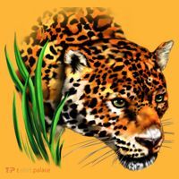 Wildlife Big Face Jaguar In Grass Portrait Hat thumb 2