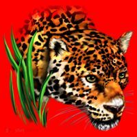 Wildlife Big Face Jaguar In Grass Portrait Santa Hat thumb 1