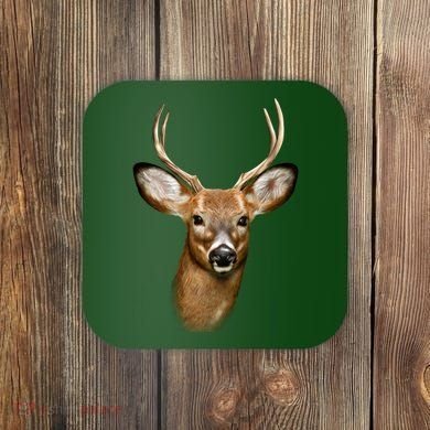 Wildlife Big Face Young Buck Deer Portrait Coaster