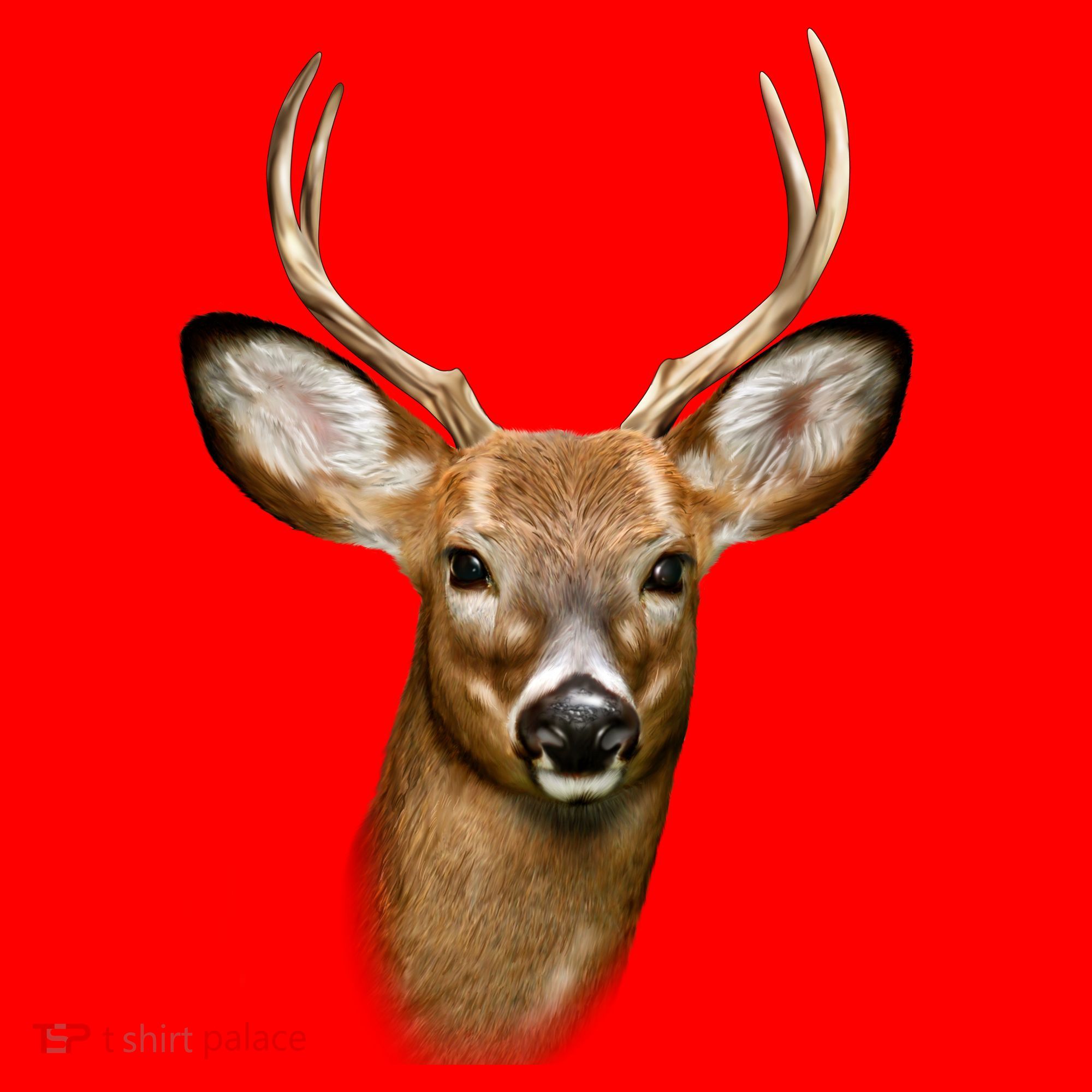 Wildlife Big Face Young Buck Deer Portrait Santa Hat