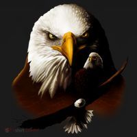 Wildlife Chopper Eagle Doggie Tank thumb 4