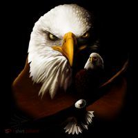 Wildlife Chopper Eagle Polo thumb 3