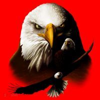Wildlife Chopper Eagle Santa Hat thumb 1