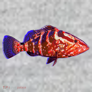 Wildlife Funky Grouper The Baniff Cuffed Pom Beanie