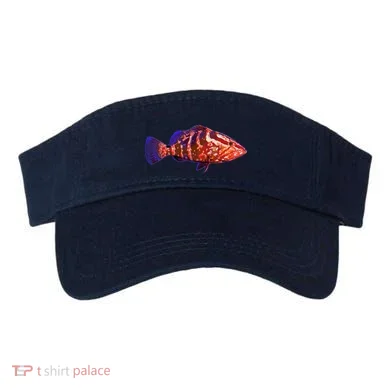 Visor