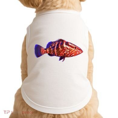 Wildlife Funky Grouper Doggie Tank