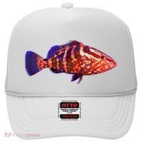 Wildlife Funky Grouper Hat thumb 0