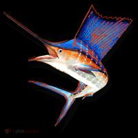 Wildlife Funky Sailfish Women's Hoodie thumb 2