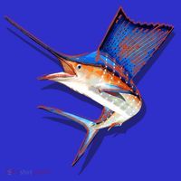 Wildlife Funky Sailfish Women's Tank Top thumb 5