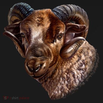 Wildlife Ram Stare Tote Bag