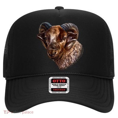 Wildlife Ram Stare Hat