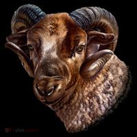Wildlife Ram Stare Toddler Hoodie thumb 2