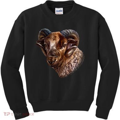 Wildlife Ram Stare Kids Sweatshirt