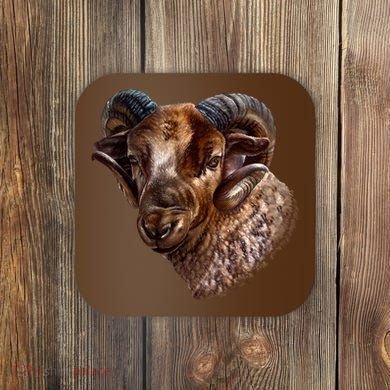 Wildlife Ram Stare Coaster