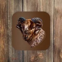 Wildlife Ram Stare Coaster thumb 0