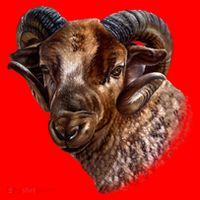 Wildlife Ram Stare Santa Hat thumb 1